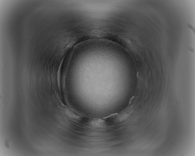 X0000097900576200803141357