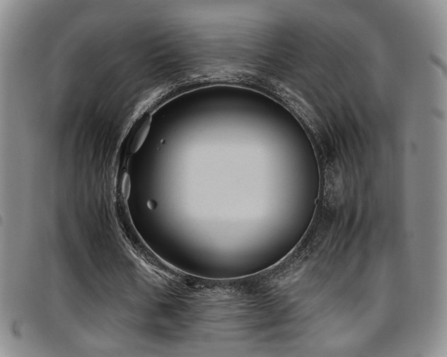 X0000097900578200803141356