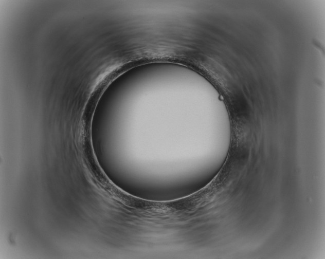 X0000097900583200803141356
