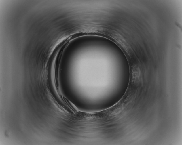 X0000097900584200803141356
