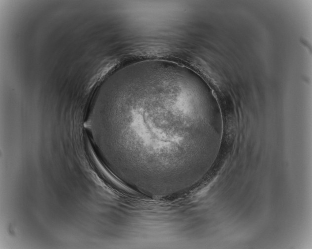 X0000097900585200803141356