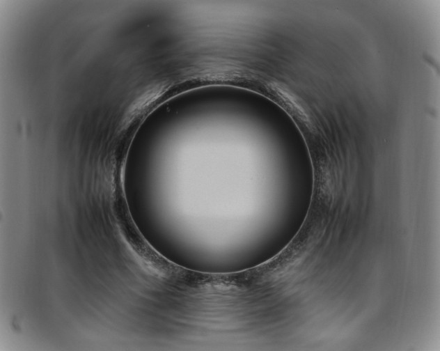 X0000097900586200803141356