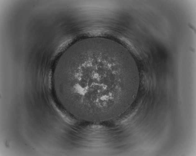 X0000097900590200803141356