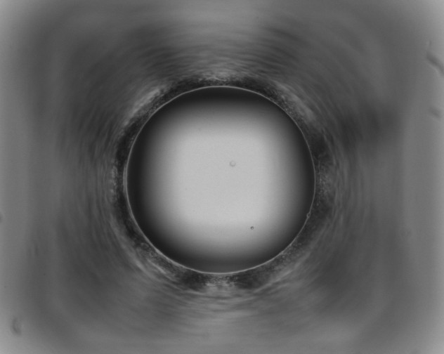 X0000097900591200803141356