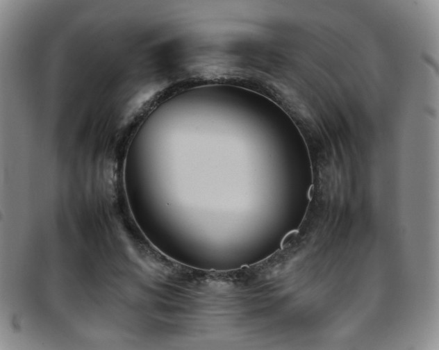 X0000097900592200803141356