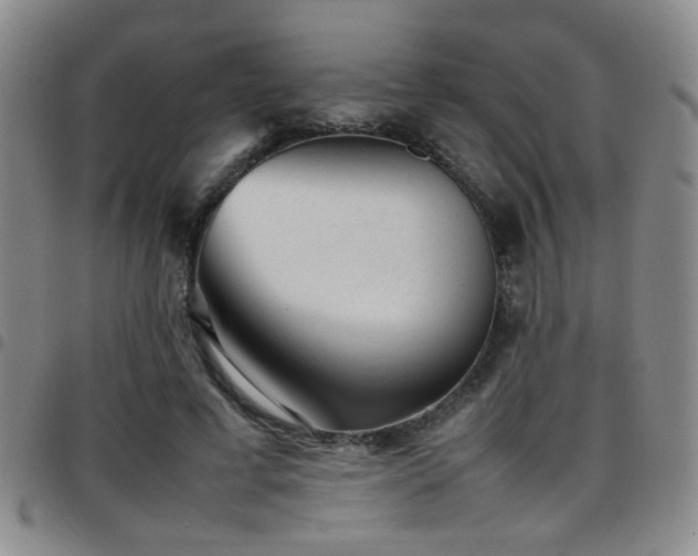 X0000097900593200803141356