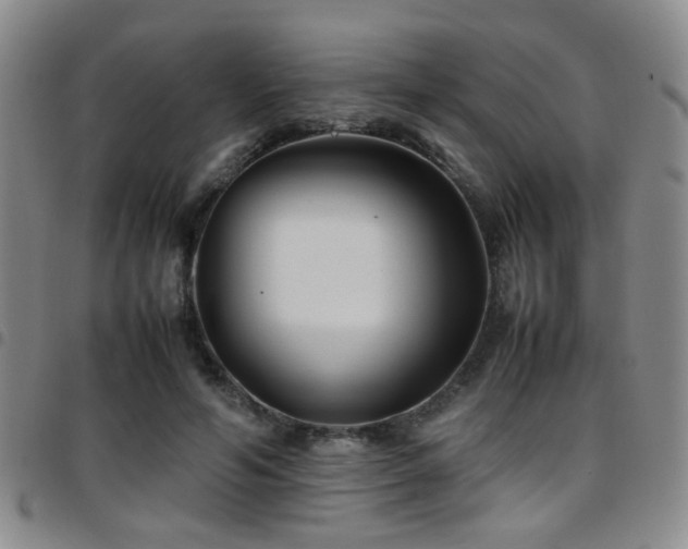 X0000097900594200803141356