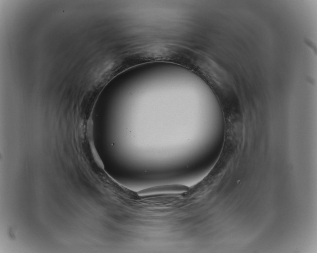 X0000097900597200803141356