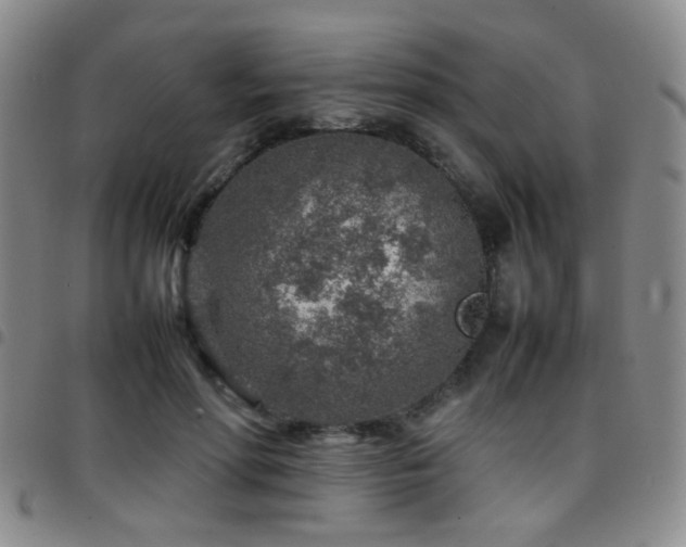 X0000097900598200803141356