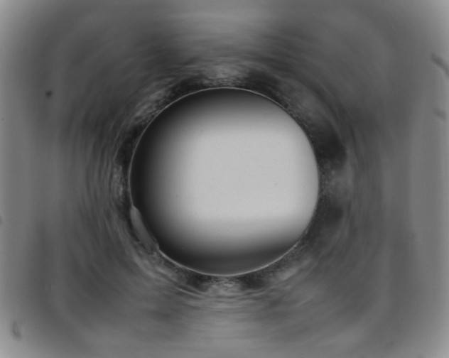 X0000097900599200803141356