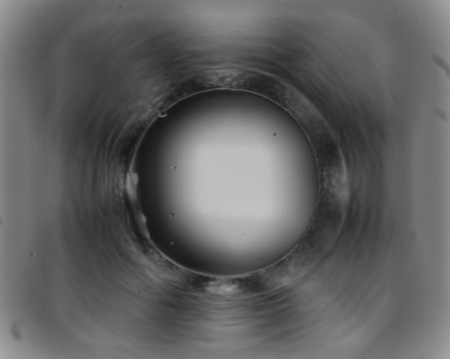 X0000097900602200803141356