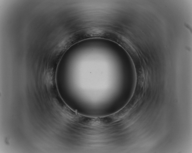 X0000097900604200803141356