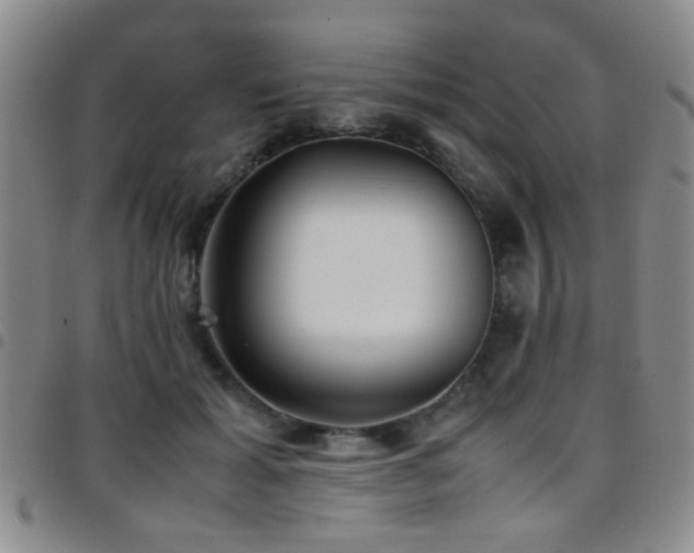 X0000097900605200803141356