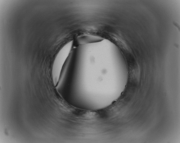 X0000097900609200803141356