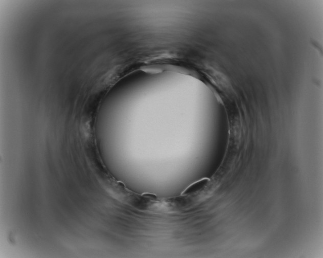 X0000097900611200803141356