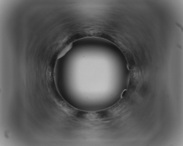 X0000097900615200803141356