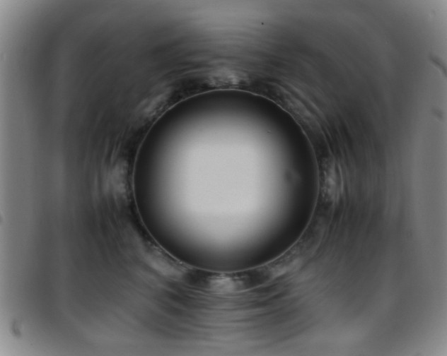 X0000097900616200803141356