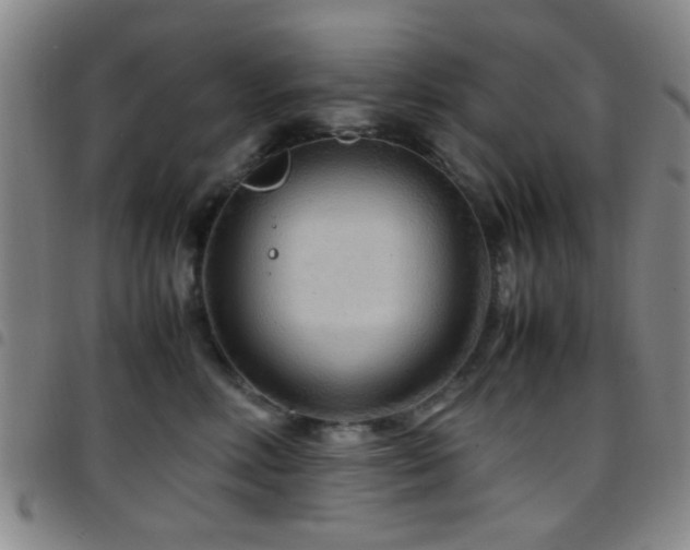 X0000097900618200803141356