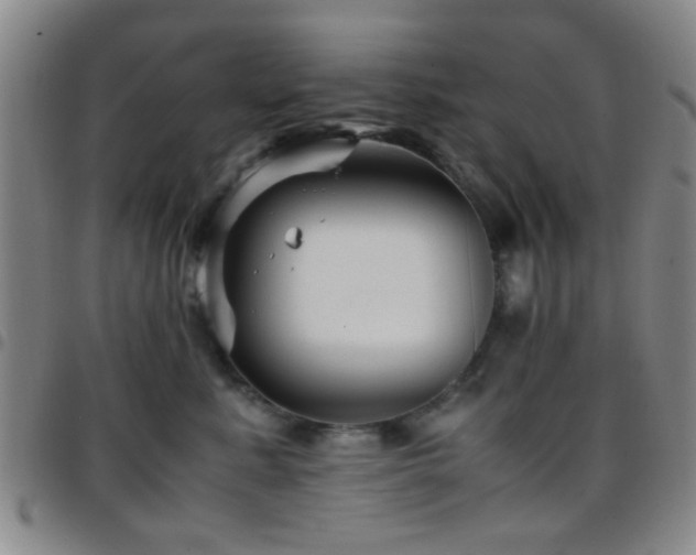 X0000097900619200803141356