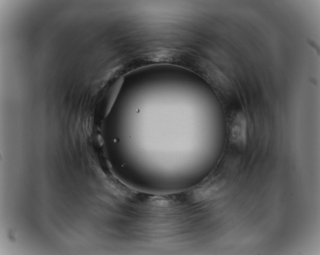 X0000097900620200803141356
