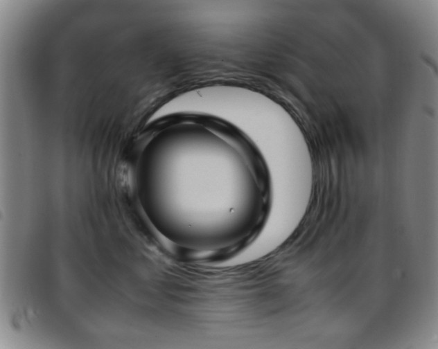 X0000097900621200803141356