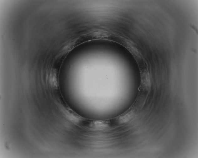 X0000097900622200803141356