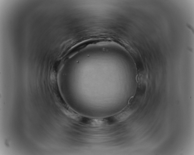 X0000097900623200803141356