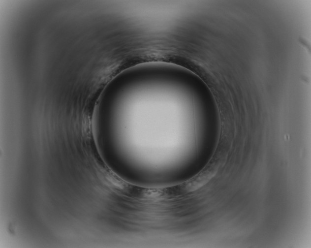 X0000097900624200803141356