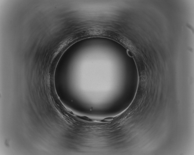X0000097900626200803141355