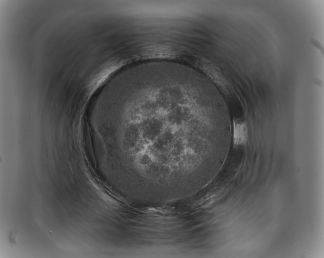 X0000097900627200803141355
