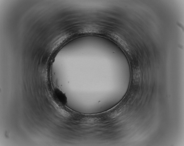 X0000097900629200803141355