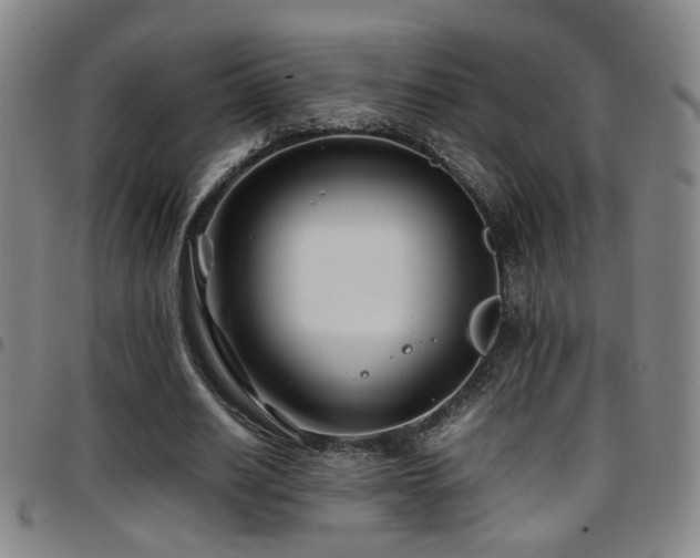 X0000097900630200803141355