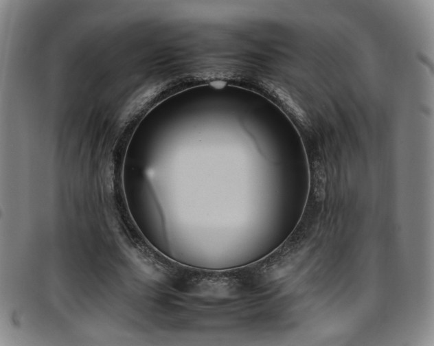 X0000097900631200803141355
