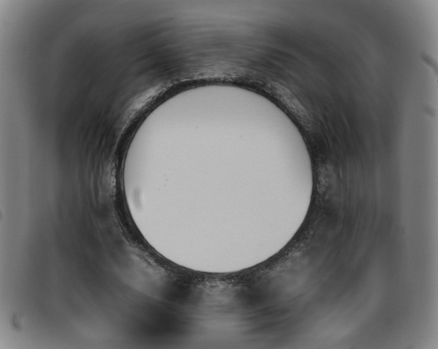 X0000097900632200803141355