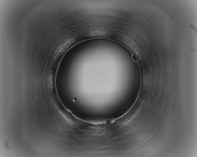 X0000097900633200803141355