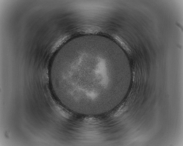 X0000097900634200803141355