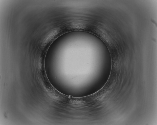 X0000097900635200803141355