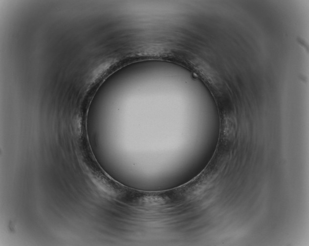 X0000097900636200803141355