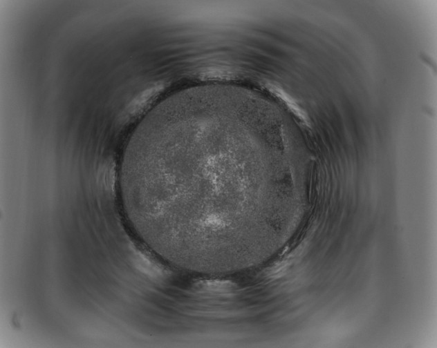 X0000097900637200803141355