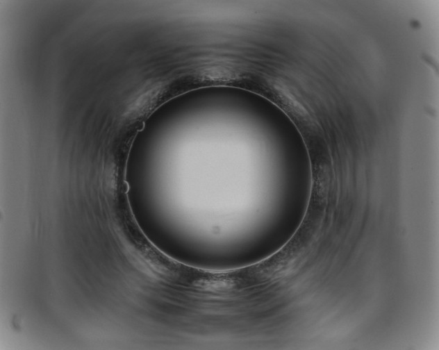 X0000097900639200803141355