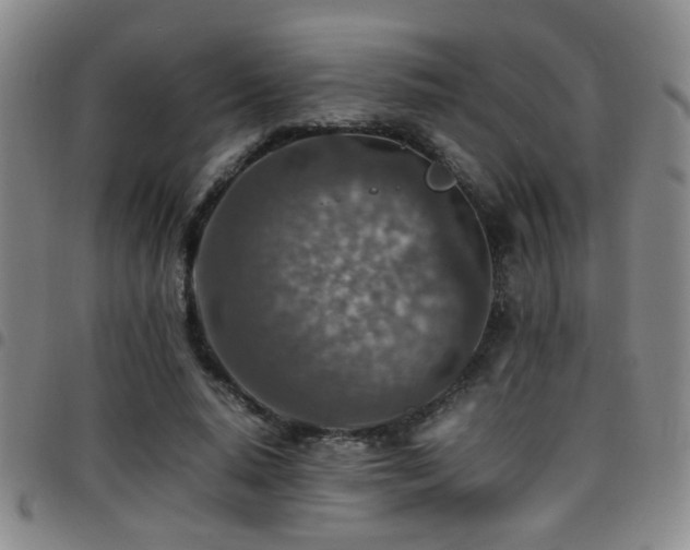 X0000097900640200803141355