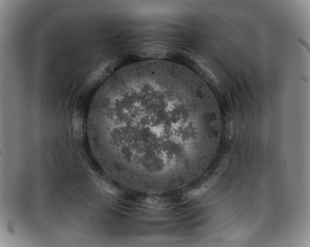 X0000097900641200803141355