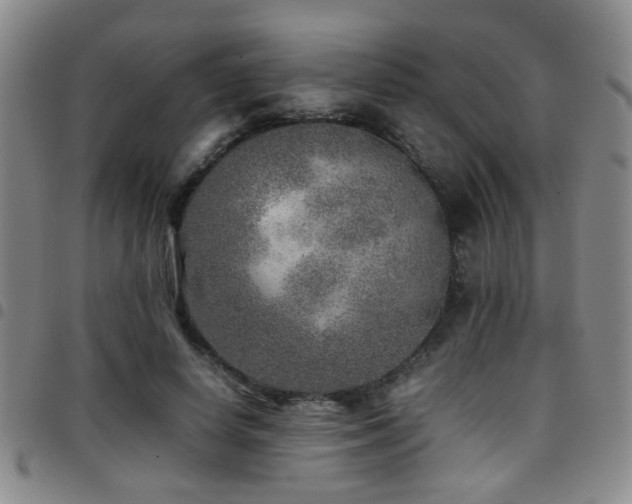 X0000097900642200803141355