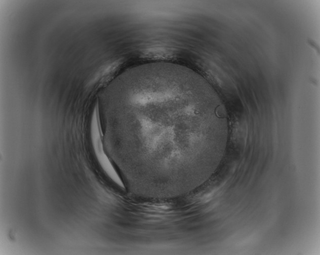 X0000097900643200803141355