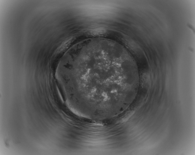X0000097900644200803141355