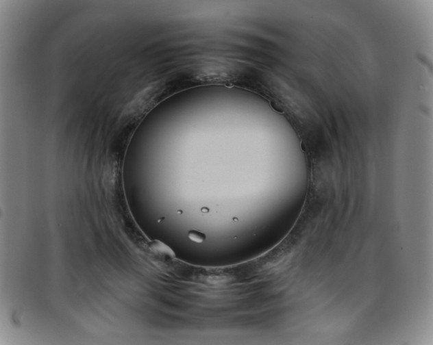 X0000097900645200803141355