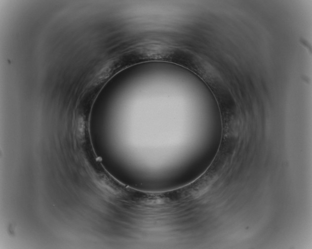 X0000097900646200803141355