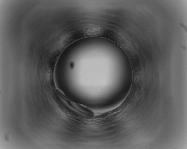X0000097900647200803141355
