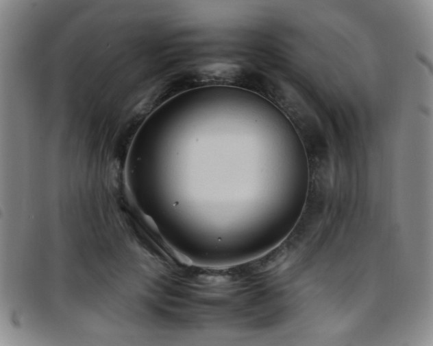 X0000097900649200803141355