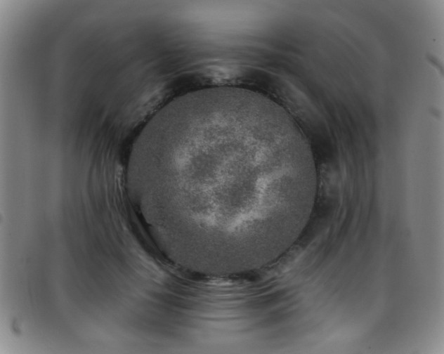 X0000097900650200803141355